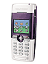 T310